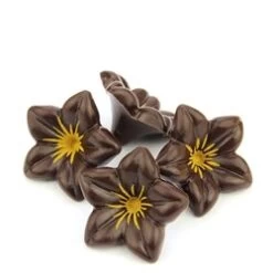 Dark Chocolate Flowers