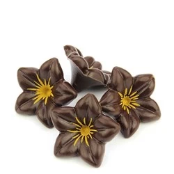 Dark Chocolate Flowers