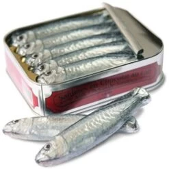 Tin Of Milk Chocolate Sardines