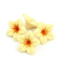 White Chocolate Flowers